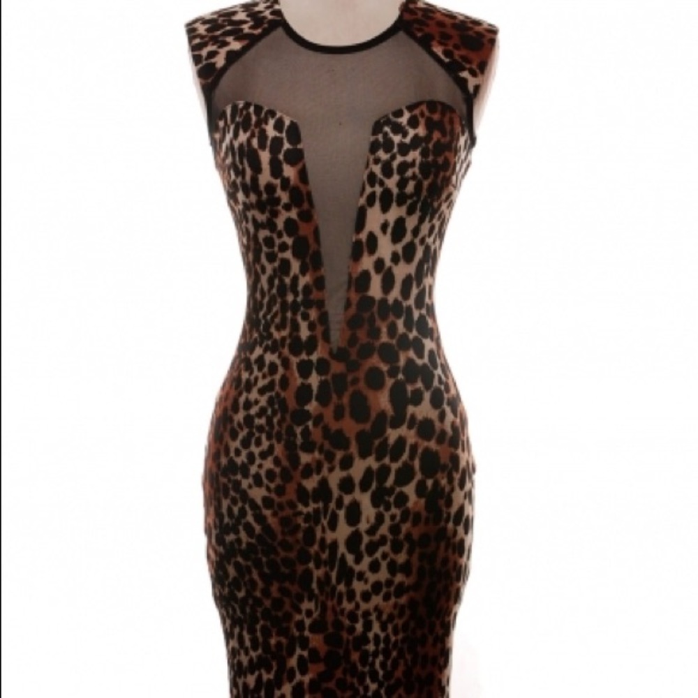 Mesh animal print dress